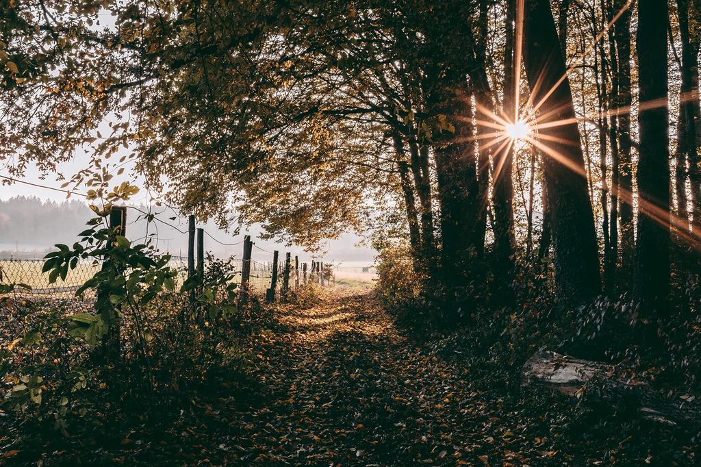 Tokina Single Focus Lens 23mm AF E Sony E Mount Format 641095 [Re-imported Model] Wide-angle ATX-M F1.4 A+ APS-C