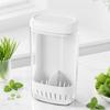 Clear Fresh Keeping Box Scallion Garlic Use Water Culture Container Fridge Storage Box  Kitchen Use