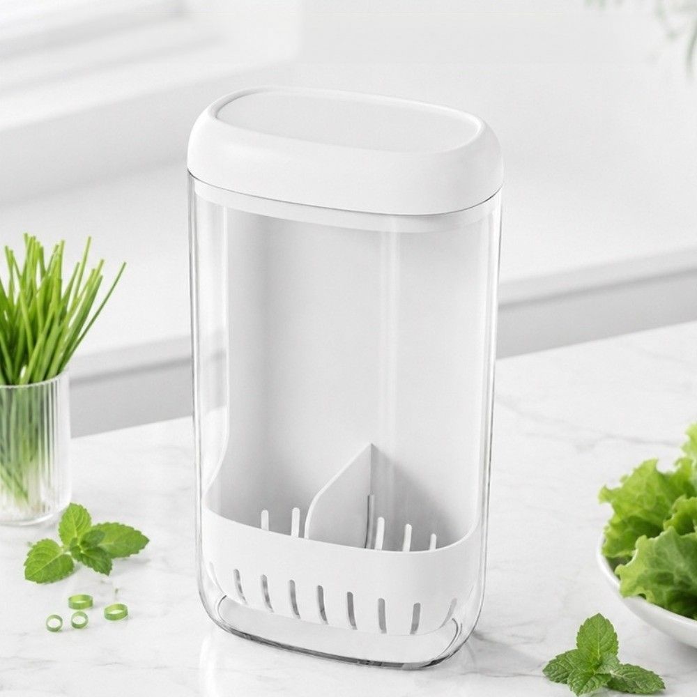 Clear Fresh Keeping Box Scallion Garlic Use Water Culture Container Fridge Storage Box Kitchen Use