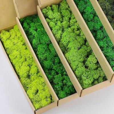 20-200g Plantas Verdes Artificiais Grama Falsa Musgo de Vida Eterna Grama para Decoração de Casa, Sala de Estar, Jardim, Mini Paisagem, Artesanato DIY