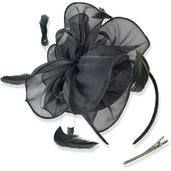 DRESHOW Fascinators Hat Tea Party Headwear Ribbons Feathers on a Headband and a Clip for Women
