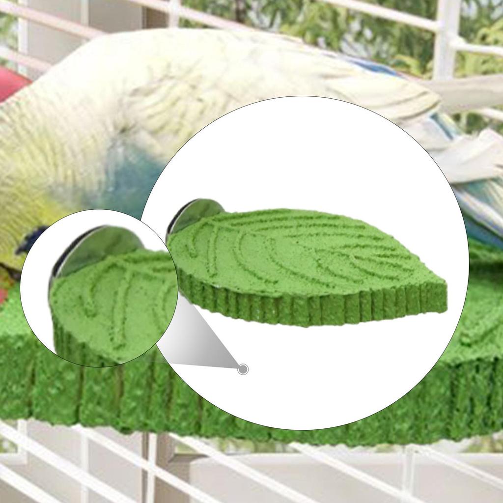 Pet Parrot Perch Supplies Paw Grinding Stick for Conures Finches Small Bird