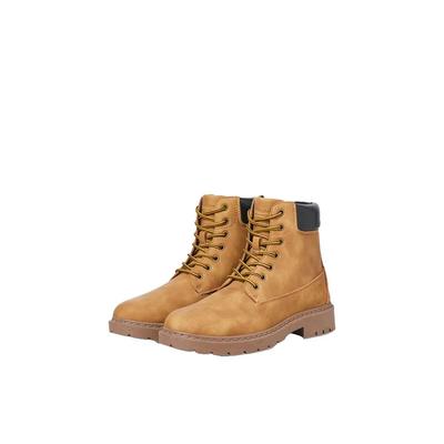 Botins e botas