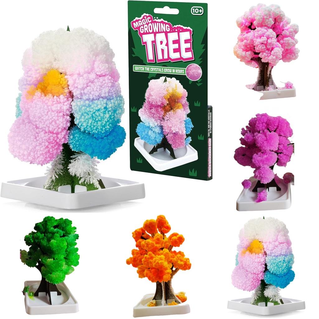 Paper Tree Magic Tree Amazing Flowering And Crystal Growing Toy For Kids