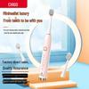 Rechargeable Sonic Electric Toothbrush CN Plug (adapter Included)