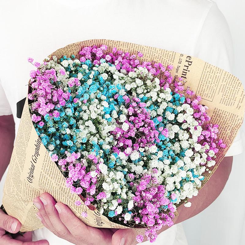 Baby's Breath Dried Flower Bouquet for Living Room Decor - Real Fresh Cut Flowers, Perfect for Gifting and Decorative Ornaments.
