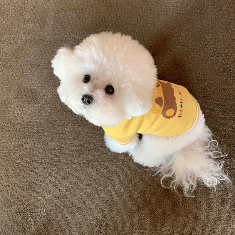 Pet Knitted Sweater Teddy Autumn And Winter Clothing Bichon Pomeranian Kitten Cat Yorkshire Warm Dog Clothes