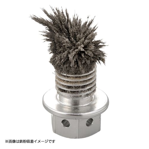 Daytona Motorcycle Oil Clean Bolt M12X12XP1.5 93751