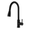 Grifo de Cocina Extraíble de Acero Inoxidable 304