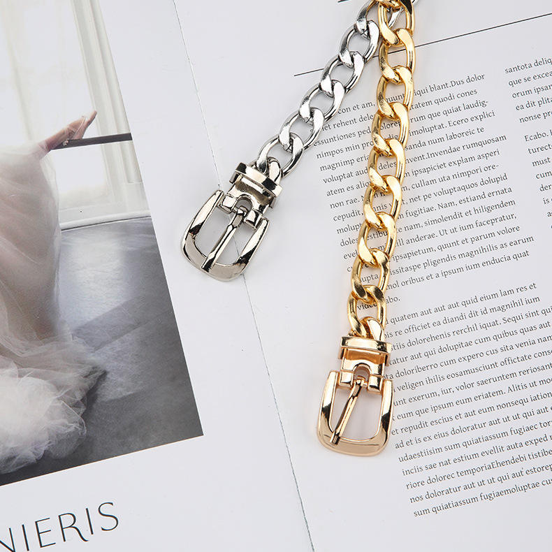 Women Metal Chain Belt 2026 Fashion Luxury Pin Buckle Waist Chain for Dress and Jeans