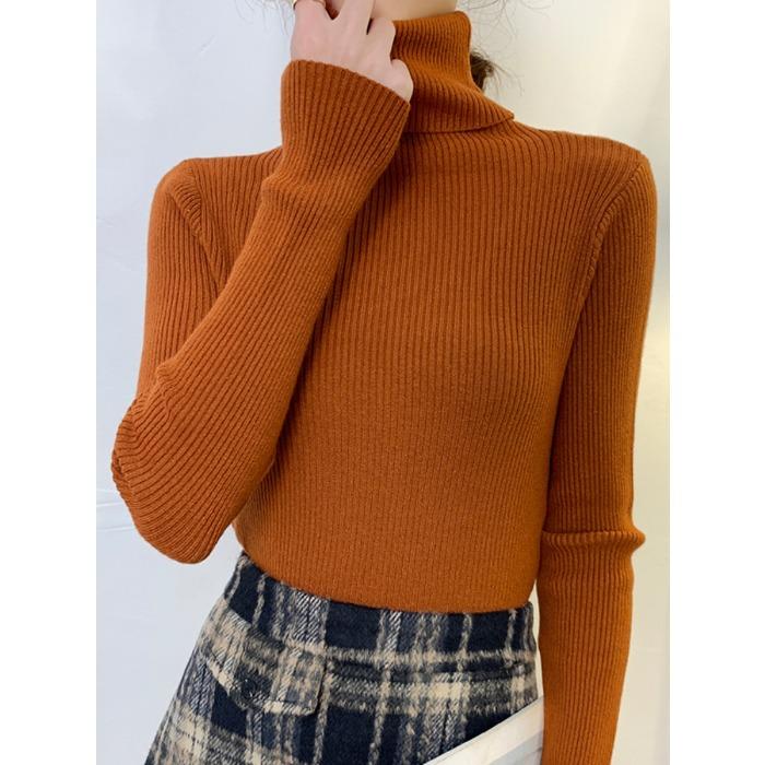 

осень зима водолазка вязаный свитер женский длинный рукав приталенный утолщенный пуловер универсальные базовые топы черный белый свитера One Size