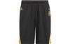 Belgium Select Shorts Sports Shorts Men's Black IS0607
