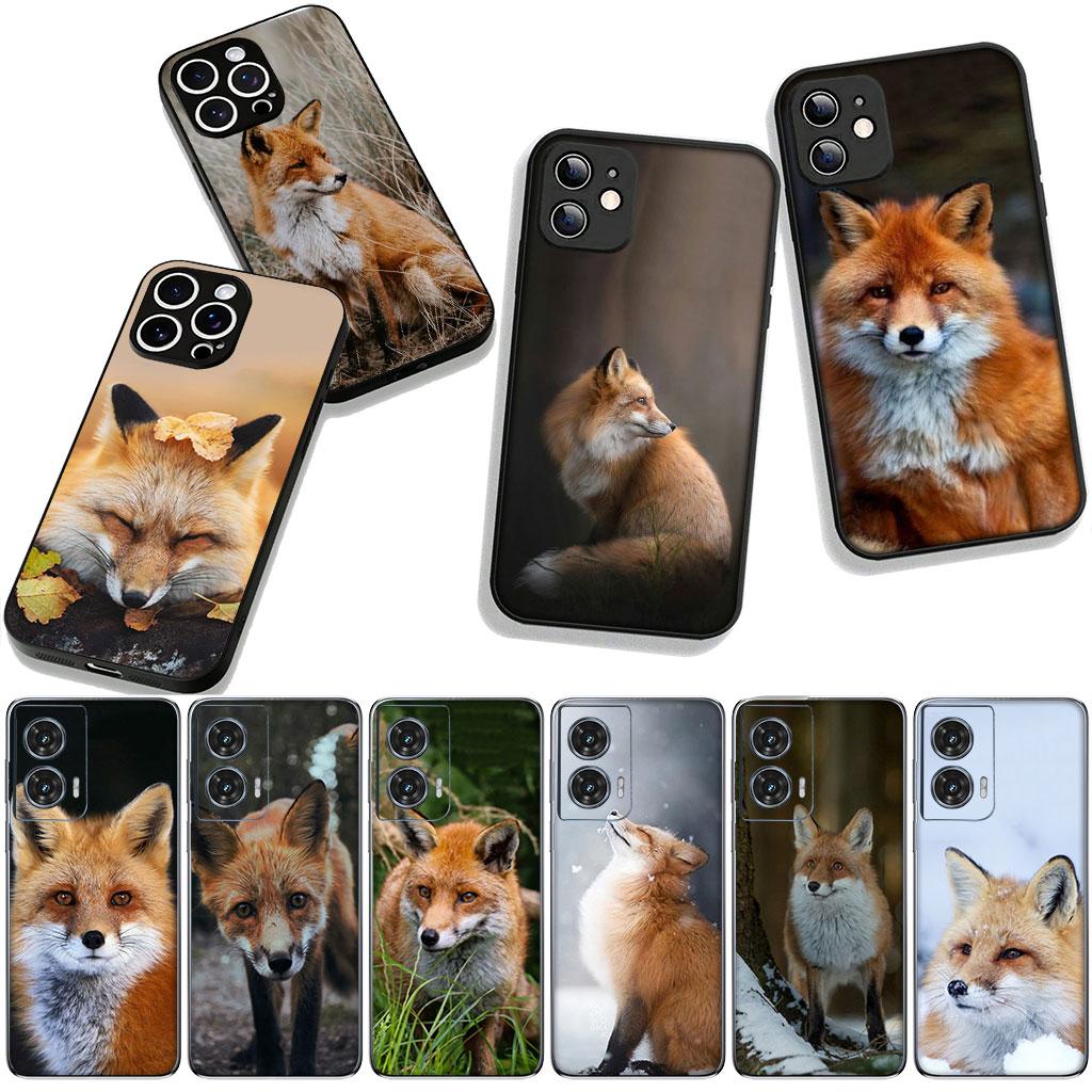 Cover for Apple iPhone 17 16 11 Pro XS Max XR 6 7 8 Plus 16E SE 2020 Air 5 SE2 Phone Case Wild Pets Fox Wallpaper