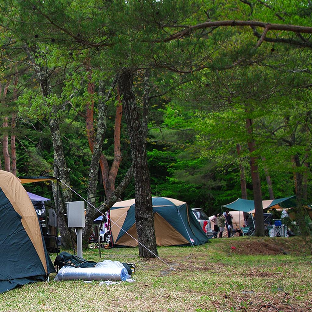 HERCULES Paracord Abspannseil Campingseil Zeltseil für den Außenbereich Belastbarkeit 250kg 7 Kerne Braun 15m