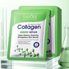 Kollagen Ectoin Repair Beruhigende Gesichtsmaske Feuchtigkeitsspendende Anti-Aging Tuchmaske Tief Feuchtigkeitsspendend Hautbarriere Stärkend Gesichtsbehandlung