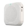 Portable Wireless Voice Amplifier Teachers Meeting Tour Guide Rechargeable PA System Speaker Personal Amplifier