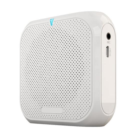 Portable Wireless Voice Amplifier Teachers Meeting Tour Guide Rechargeable PA System Speaker Personal Amplifier