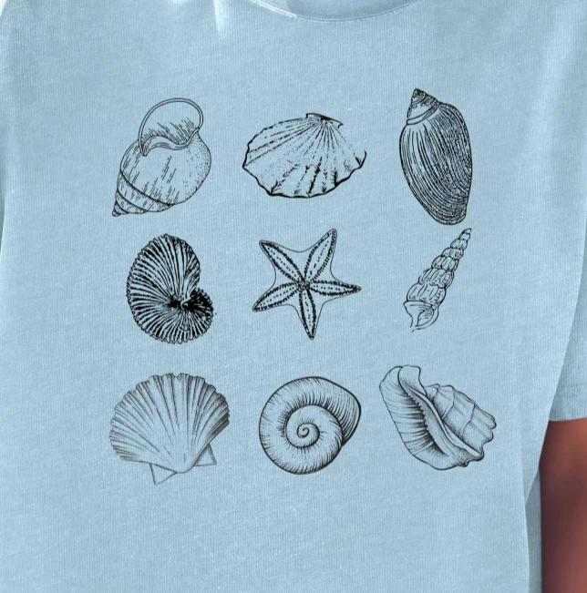 Seashell Sketches T-shirt | Beach Shells Illustration Tee, Summer and Beachwear 4XL