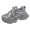 Daddy Shoes Women's Spring and Summer New Thick Bottom Mesh Elevator Breathable Casual Sneaker Tide
