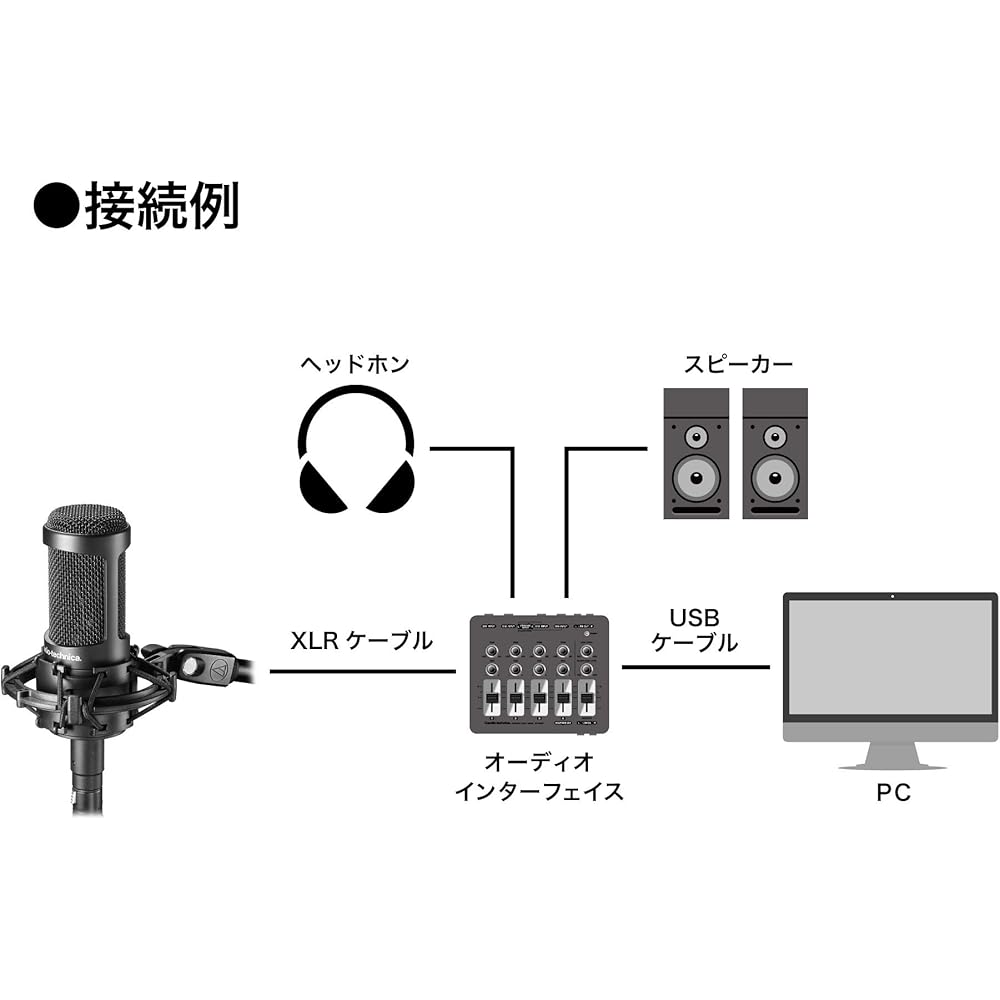 Audio-Technica AT2050 Condenser Microphone XLR Cardioid Bidirectional Omnidirectional with Shock Mount Black