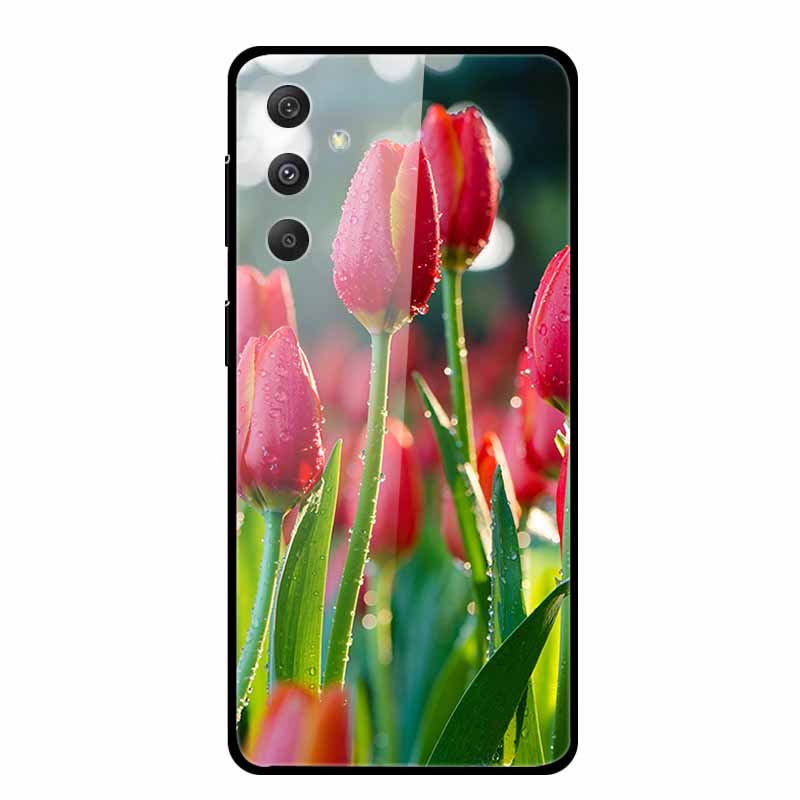 Tempered Glass Case For Samsung Galaxy S24 Plus Case Hard Glass Back Cover Soft Bumper For Samsung S24 Plus Phone Case S24Plus