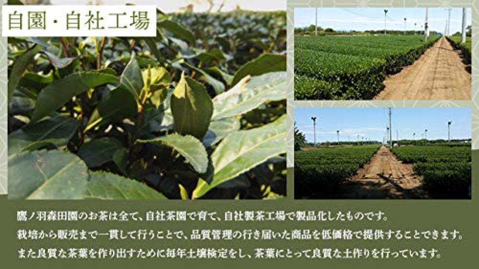 Sayamacha Sencha Tea Bags X 15 Tea Made with Takanoha Domestically Homemade (2g Bags) First-Grade Tea, Moritaen, Grown,