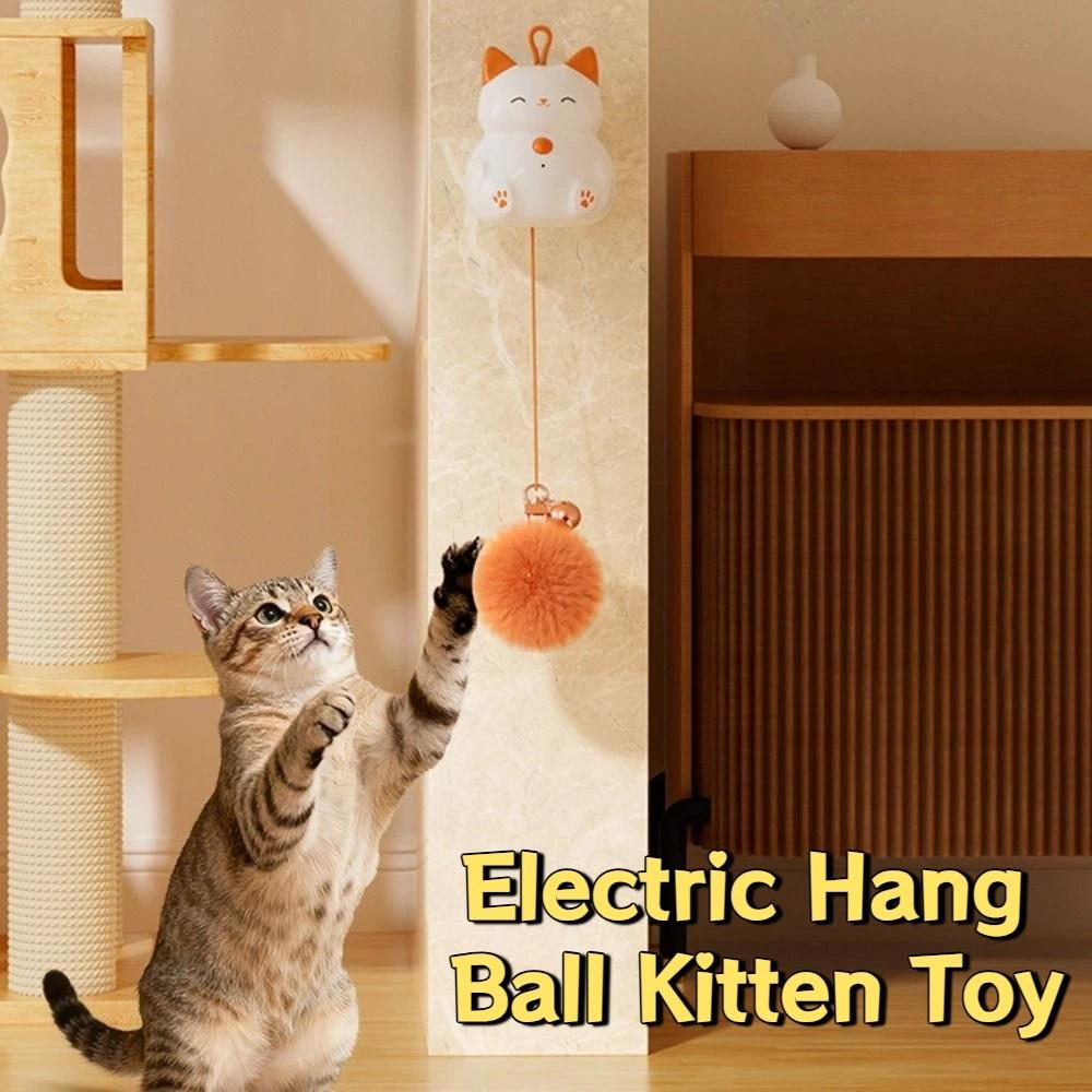Creative Electric Hang Ball Kitten Smart Bite Resistan Kitten Teasing Self Play Rotating Automatic Lifting Cat Ball