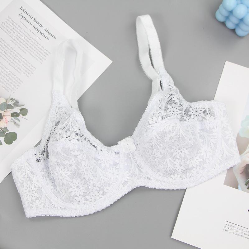 Hot Selling Sexy Back Lace Bra Ultra-thin Adjustable Traceless Underwear Women's Big Breasts Show Small Gathering Bra