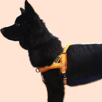 Petstree Dog Anti-flip Front Hook Air Cushion Easy Walk Harness, Orange