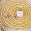 Cute Cat Claw Key Chain Key Ring Fingertip Decompression Pressure Toy Keycap Tester Back Bag Pendant Festival Couples Gift