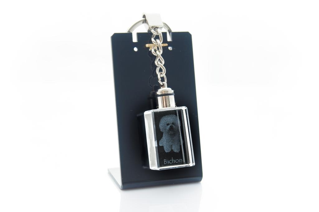 Bichon Frise, Bichon Tenerife, Bichon a Poil Frise - Crystal Key Ring with Dog Photo, Illuminated Key Ring, Unique Gift by Art-Dog Brand