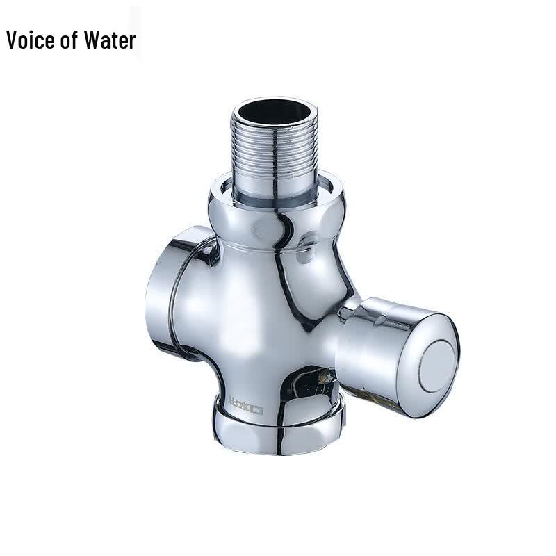 Shuizhisheng G011147 Manual Self-Closing Squat Toilet Flush Valve