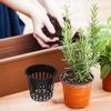 15pcs Hydroponic Net Pots 4 Inch Water Culture Growing Basket For Vegetables Herbs Plastic Mesh Plant Pots Hydroponics System