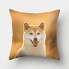 1 Stuk Hond Patroon Kussenhoes Sofa Huisdecoratie Auto Kantoorbenodigdheden Buitenkussen