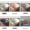 Diruien Ceramic Large Noodle and Soup Bowl