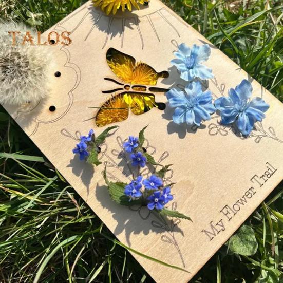 Wooden Flower Trail Board Flower Leaf Collector Board DIY Plant Floral Arrangement Collection Display Tray Decoration Kids Adults Birthday Christmas