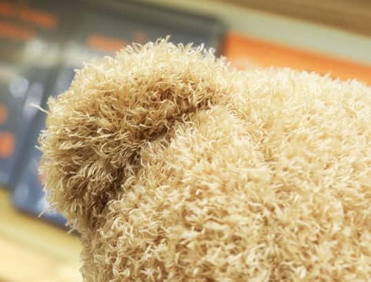 TROYSINC Teddybär Weiches Fell Teddybär mit Kapuze Tatzendruck Plüschtier Kuscheltier Stofftier Geschenk (Rot,30cm)