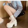 Versatile thick heel one-word buckle belt small leather shoes women's winter new thick-soled retro Mary Jane single shoes