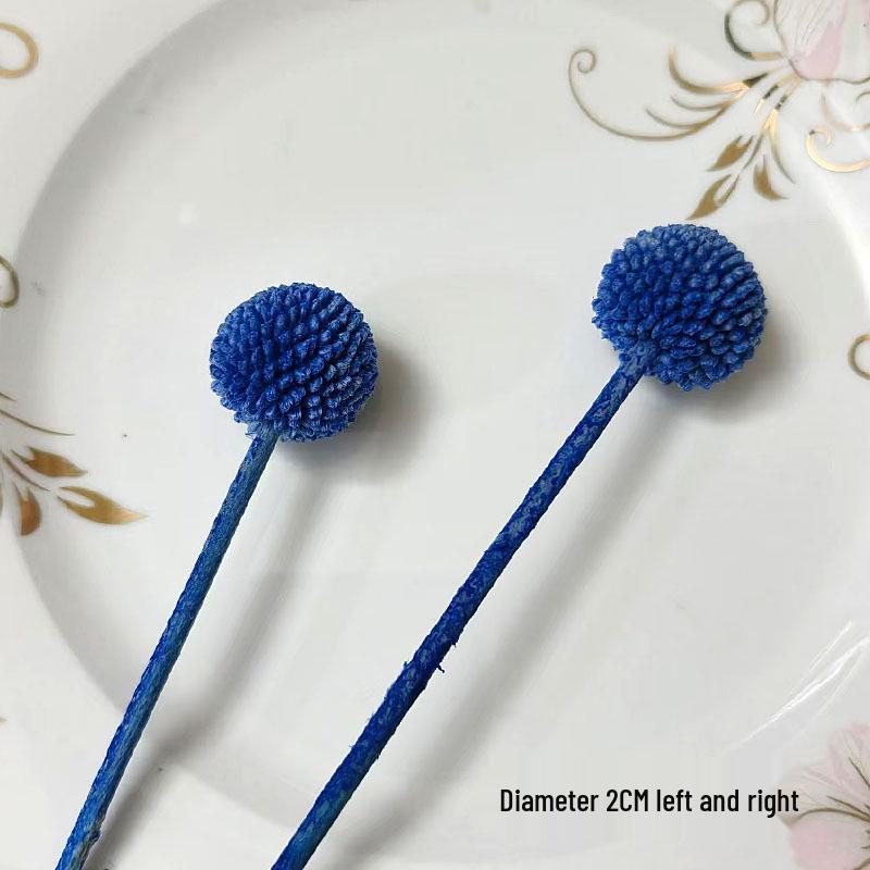 Blue Series Dried Flower DIY Kit: Hydrangea, Thousand-Layer Gold, Eucalyptus Leaf Souvenir Decoration