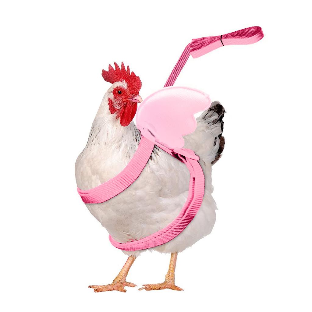 Pet Outdoor Walking  Hen  Adjustable Outdoor Training Leash