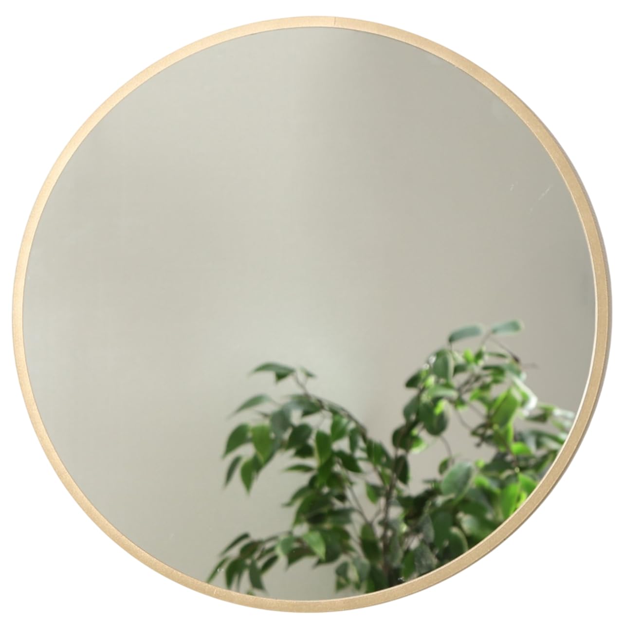 

Fuji Boeki Wall-Mounted Mirror, Aluminum Frame, 45cm Diameter, Round, Gold, 41407