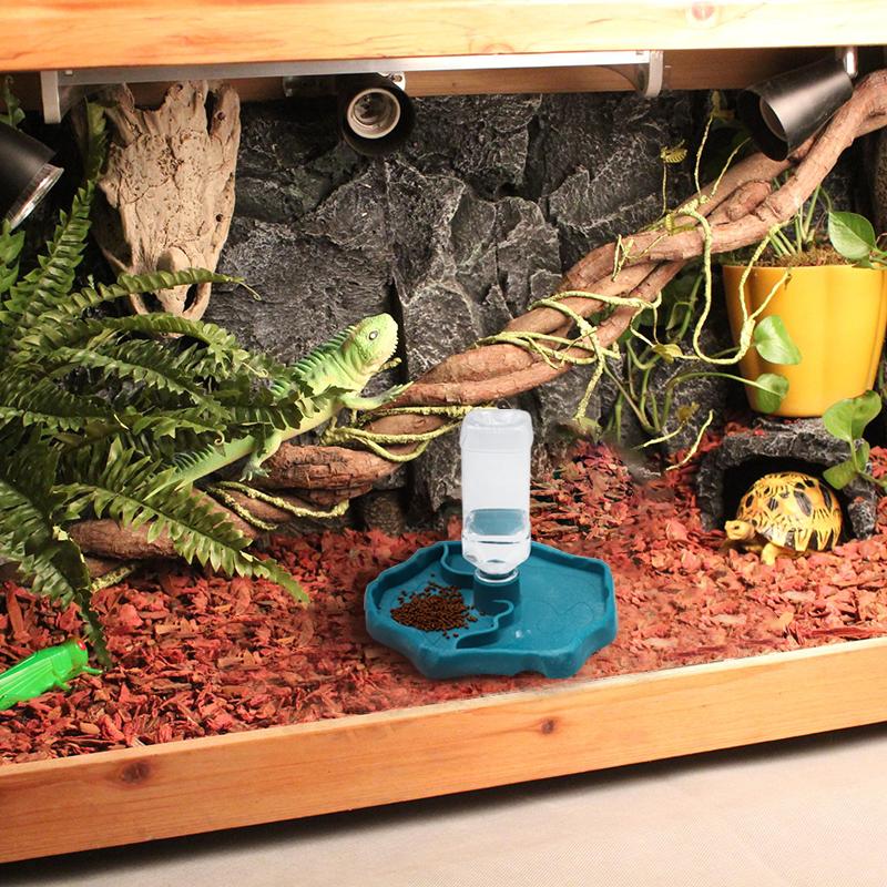 Buy Automatic Reptile Feeders Waterer Automaticrefilling Turtle Water