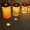 Foldable Mid-Autumn Festival Lanterns Projected Decorative Flower Lamp  Lantern Festival