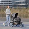 Foldable Pet stroller, Dog Buggy with Three Wheels, for Small/Medium Dogs, Grey