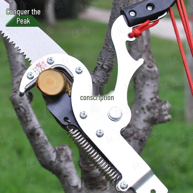 Zhengyue Retractable High Branch Pruner