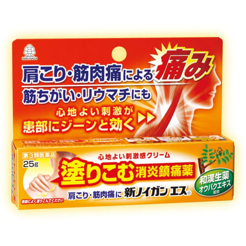 [Third-class OTC Drug] Shin Noiganesu 25g
