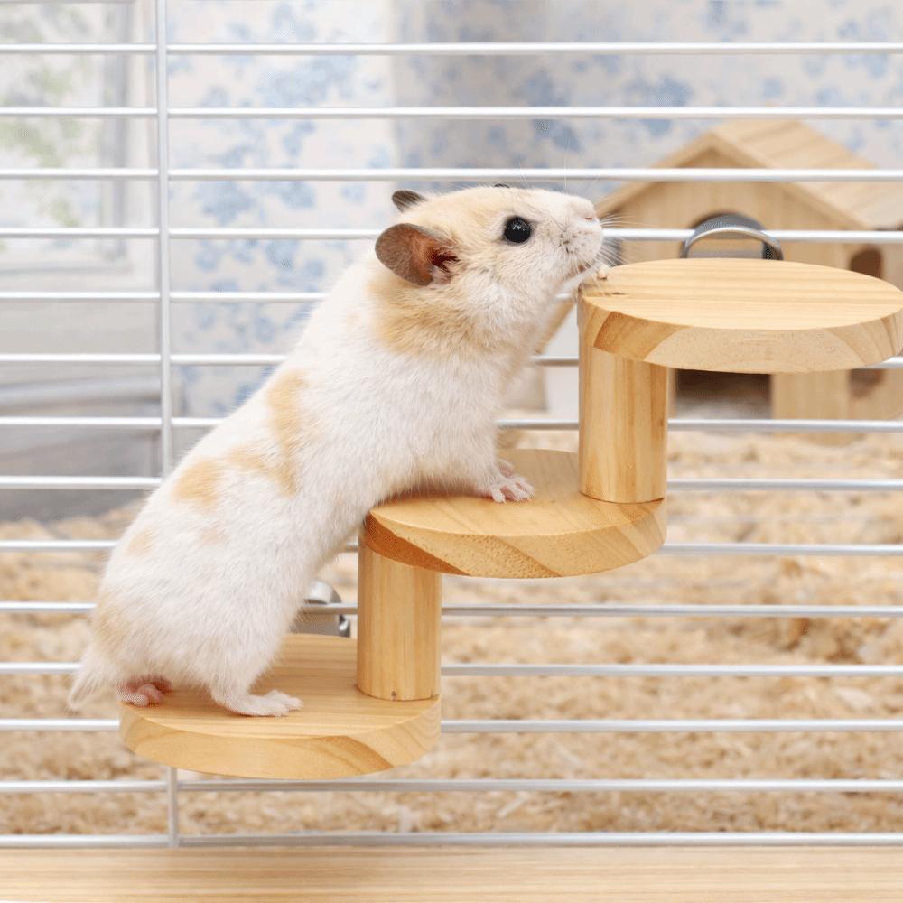 Bite Resistant Hamster Wooden Ladder Wall Mounted Hamster Climbing Toy  Enrichment Activity