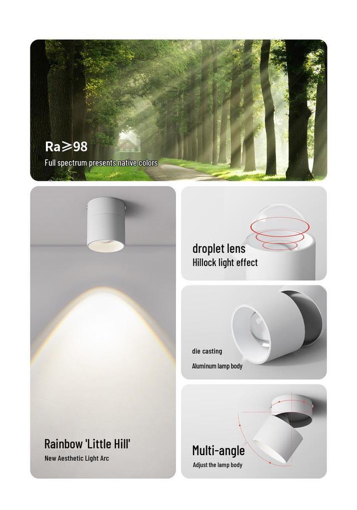Adjustable Angle Rainbow Spotlight for Living Room Corridor