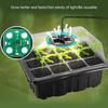 Plastic Seedling Starter Kits with LED Grow Light Plant Nursery Tray with Drainage Holes Vegetable Germination Box