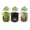 Reusable Non-Woven Felt Planting Bag with Harvest Window for Vegetables